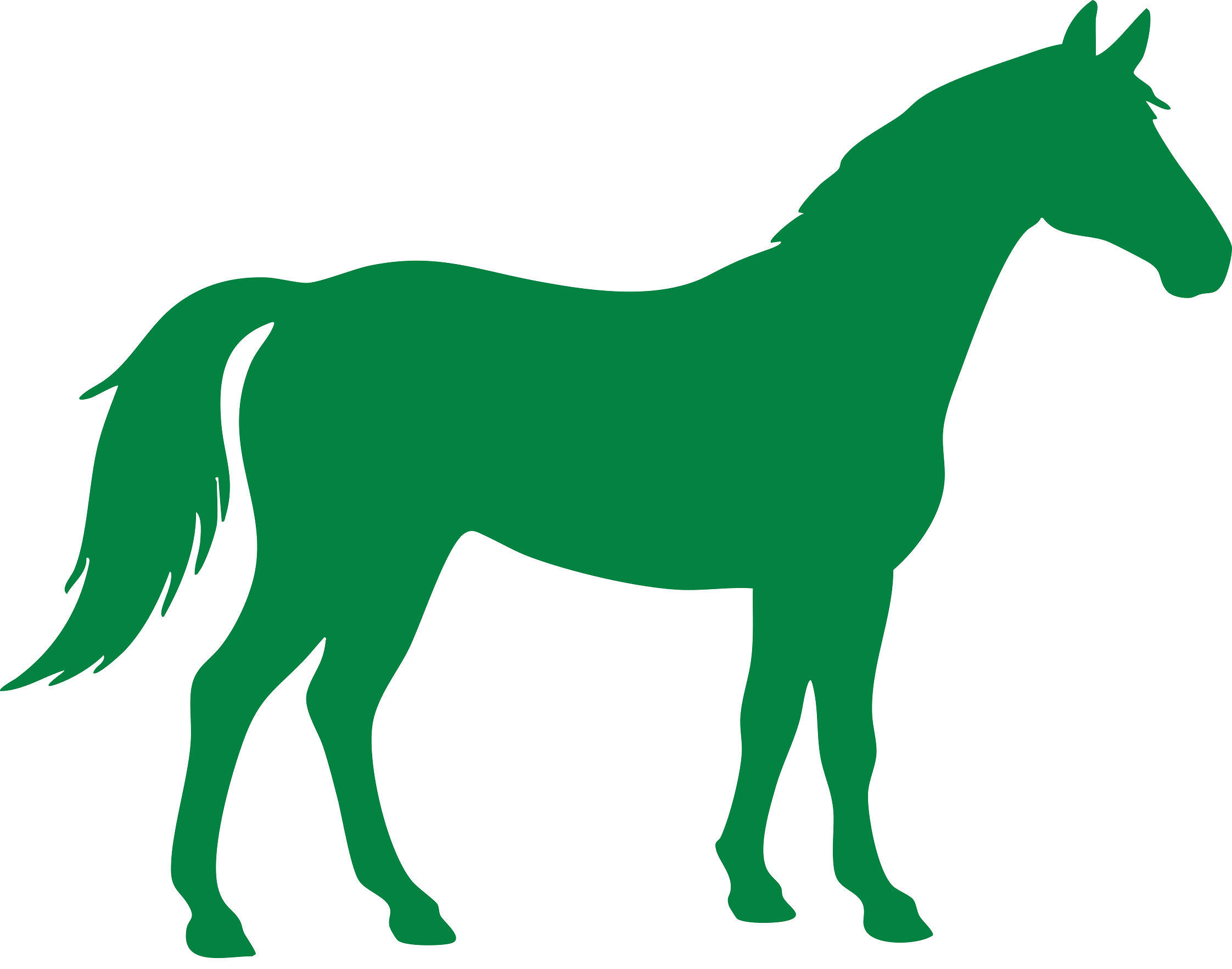Equine icon